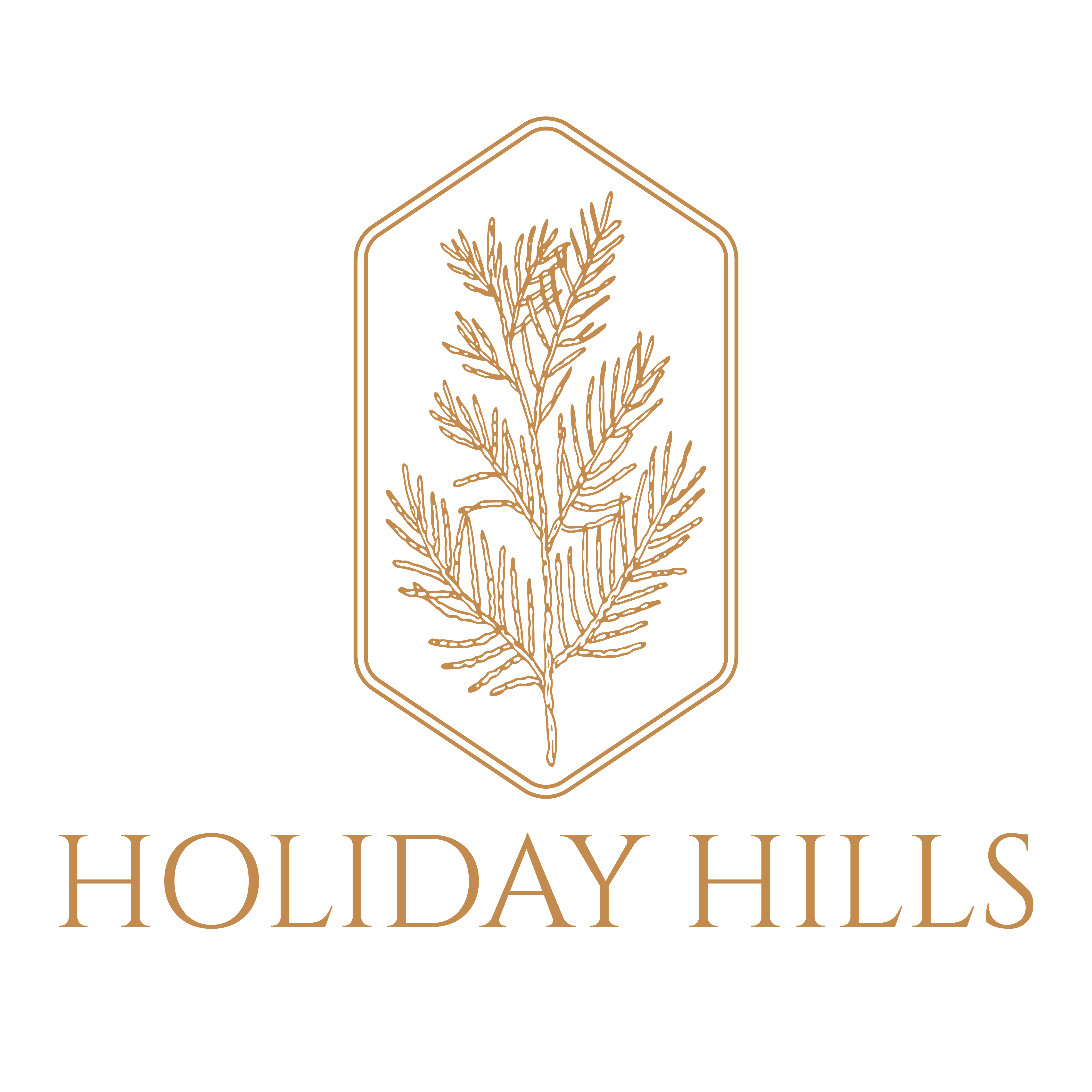 Holiday Hills Logo
